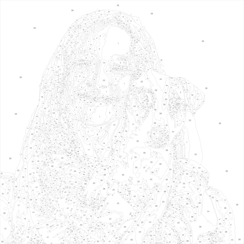 GIF file for Paint by Numbers-Browse the painting restoration process